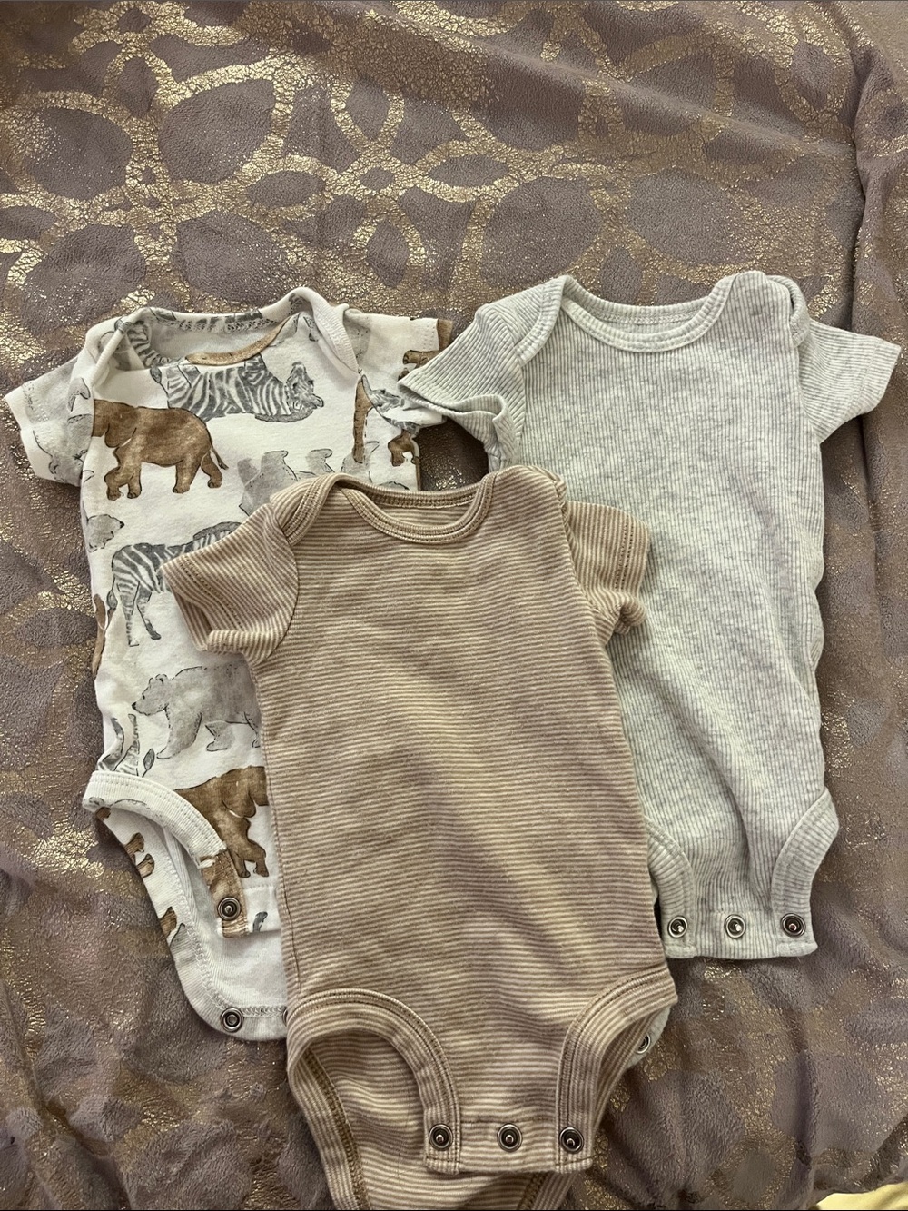 Carter's Neutral Safari & Ribbed Tan and Cream Bodysuit Trio